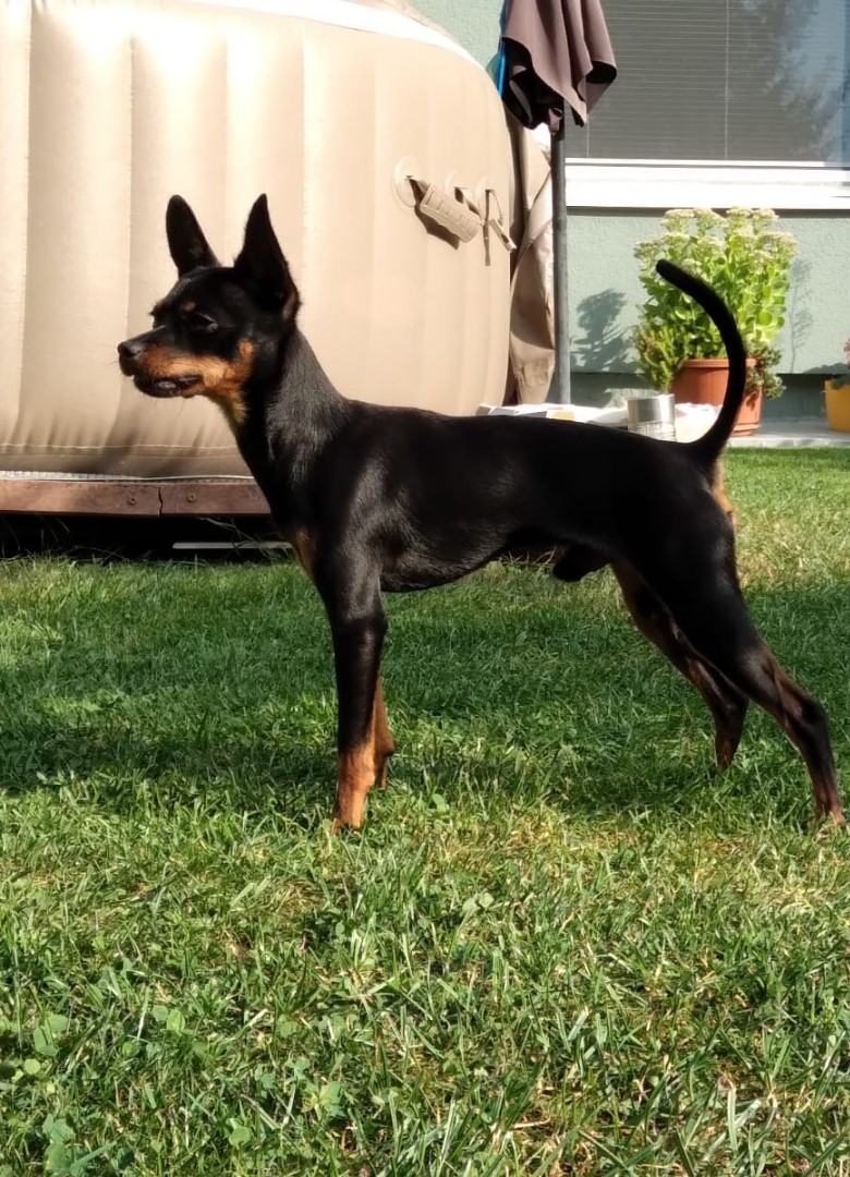 Casper Krasotka Moja 2024