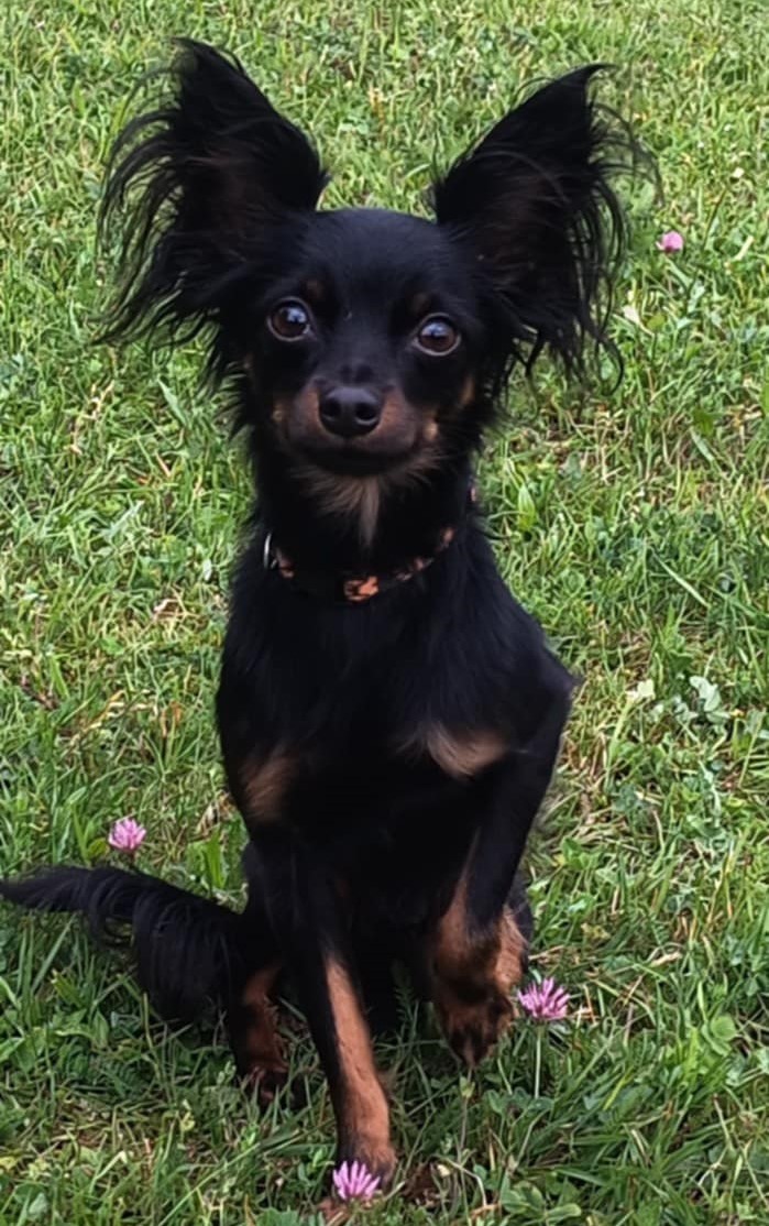 Buster Duineri,                                                 2024