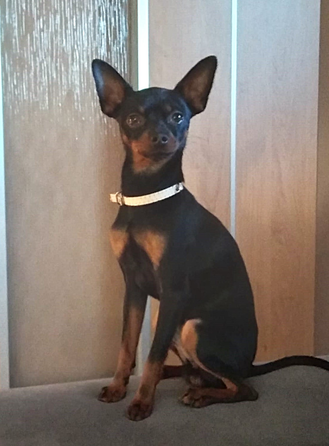 Casper Krasotka Moja 2024